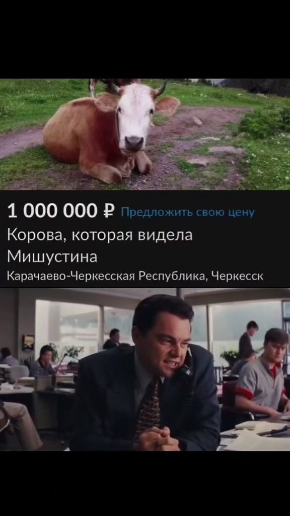 Мои избранные картинки часть 5