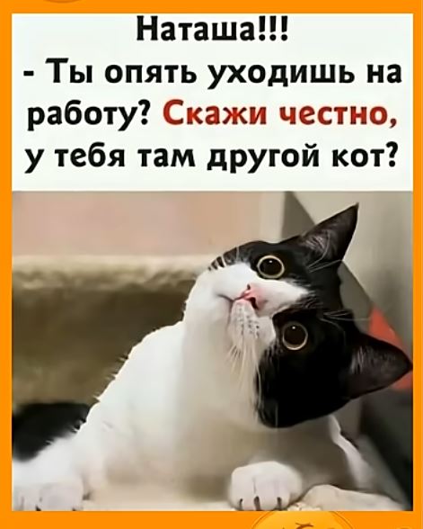 Веселые картинки в маленькую пятницу (11.03)
