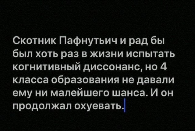 Прикольные комментарии для поднятия настроения: «Это был мой пик»