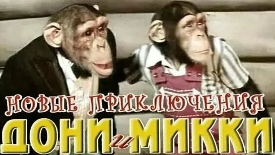 Неделя Бони на ЯПе