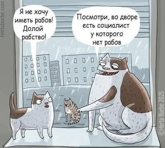 Картинки всякие разные невпопад 1.4
