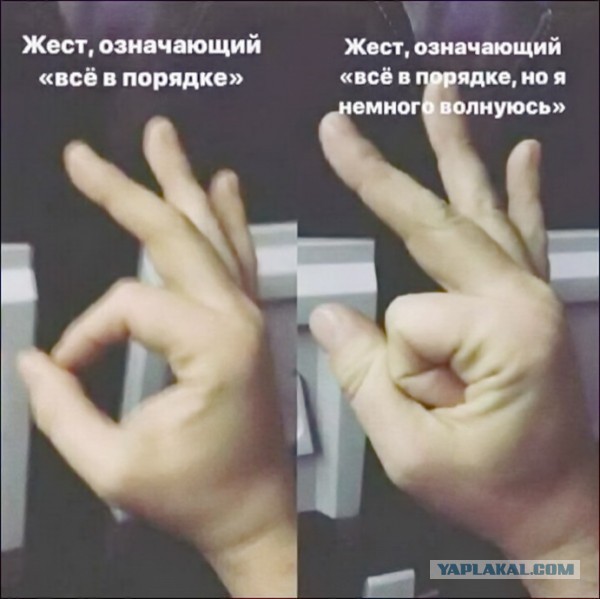 Хотели не про бензин? Ловите!