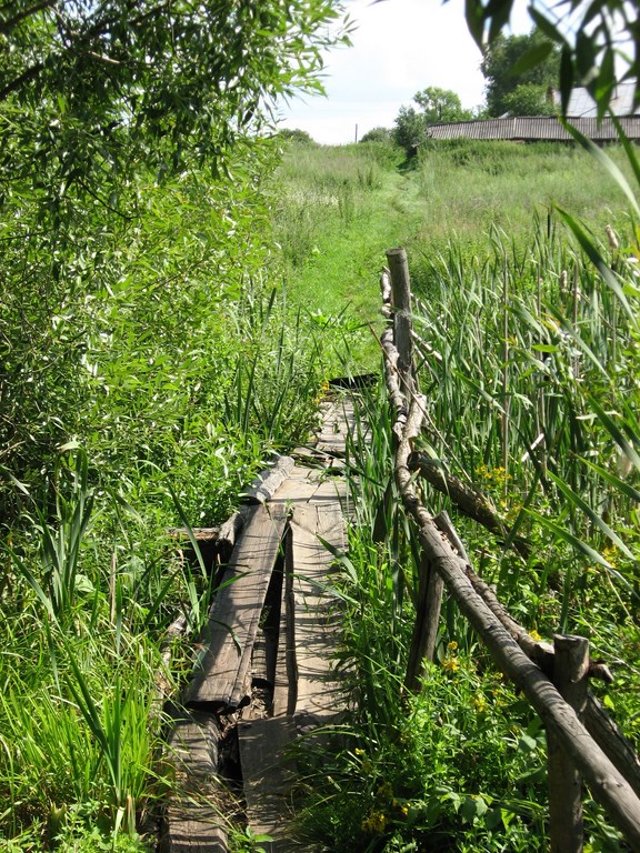 Поездка на Тамбовщину