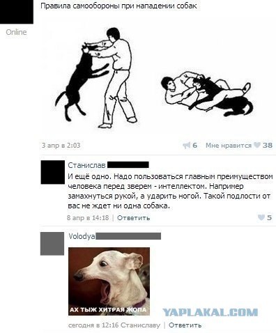 Смешные комментарии из социальных сетей
