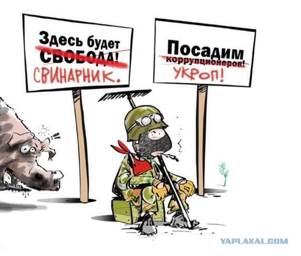 Украина получила от США 330тыс. обещаных сухпайков