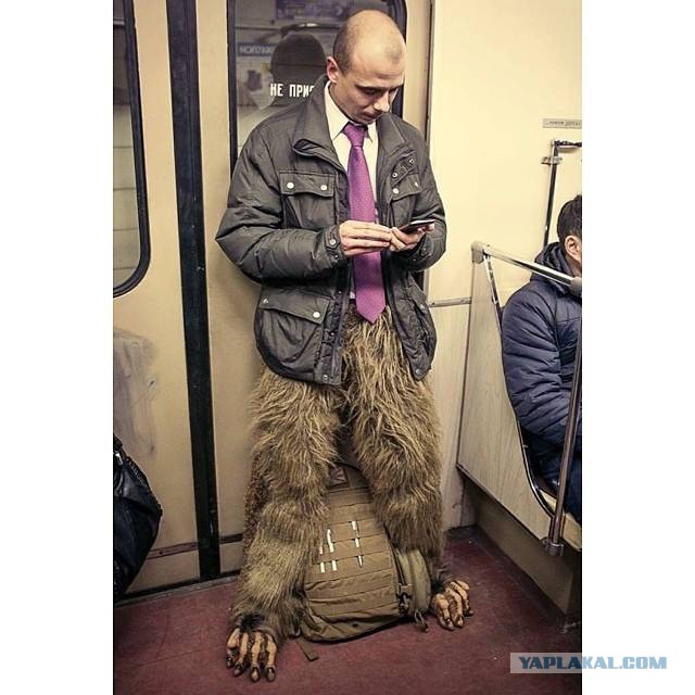 Картинки