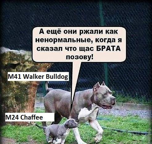 Wargaming 17