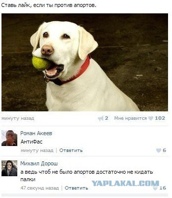 Смешные комментарии из социальных сетей