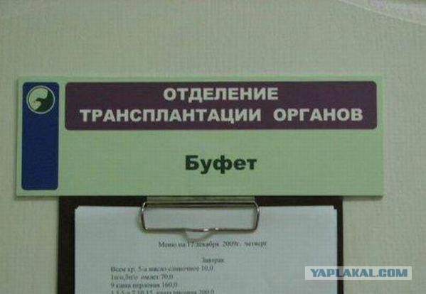 Веселые картинки