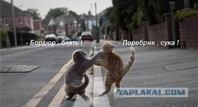 Бордюр и поребрик