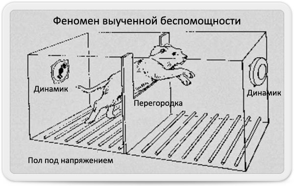 Спорим, вы не знали...