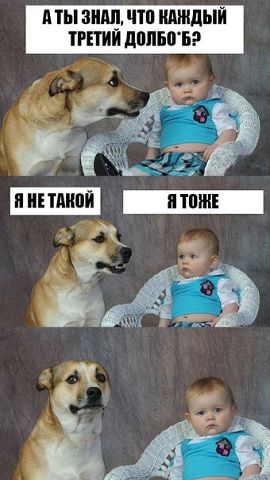 Прикольные фото и картинки