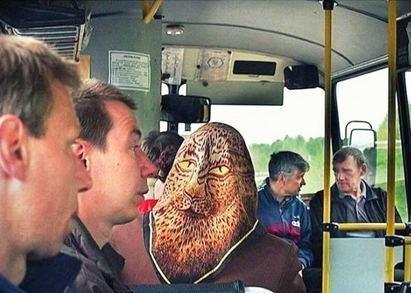 Веселые картинки