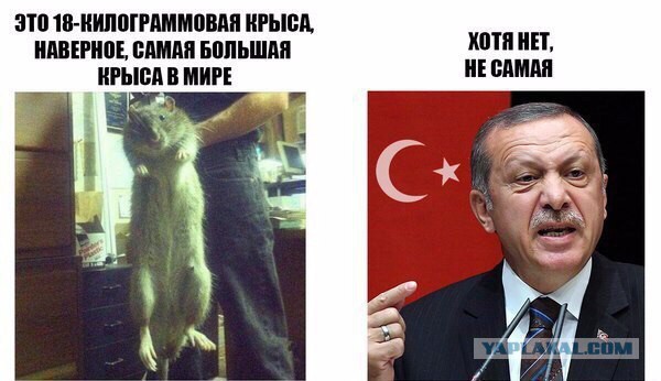 Пресс-конференция Путина и Олланда, видео.