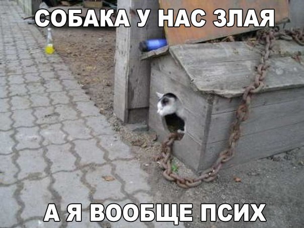 Немного картинок и демотиваторов