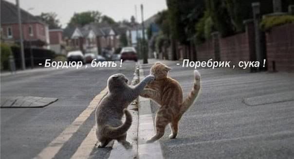 Питерцы! Вот он, настоящий ПОРЕБРИК! а у вас там БОРДЮРЫ!