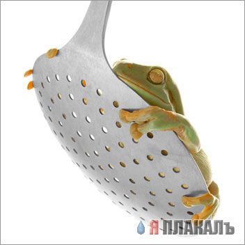 ЛЯГУШКИ. Все про лягушек и жаб