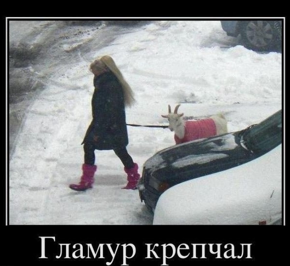 Картинки из интернетов