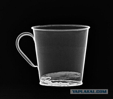 В кружке из музея Освенцима нашли клад