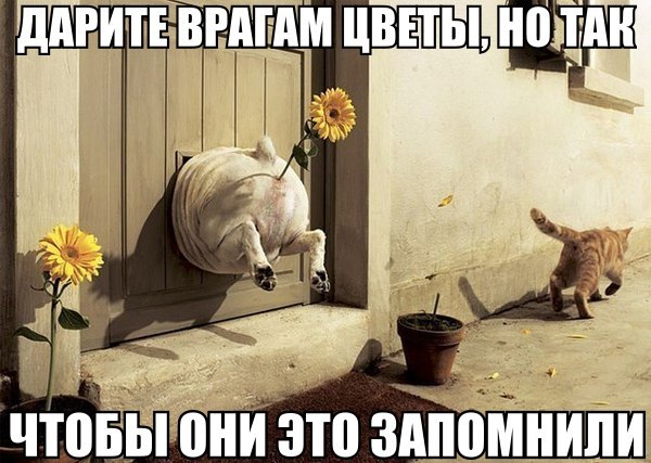 Несколько фот из сети