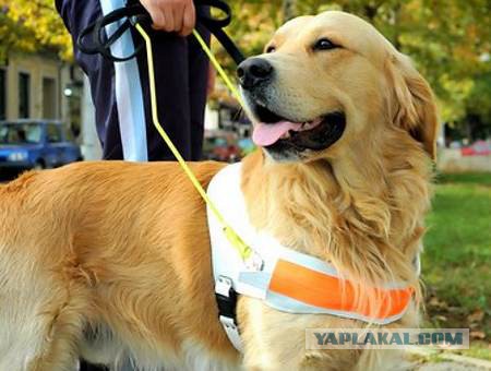 О жизни, смерти и любви. Взрослые сказки ©Ятаган