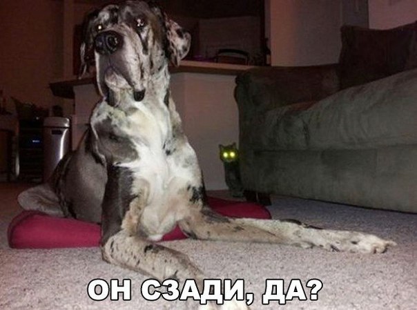 Винегрет фоток на пятницу...