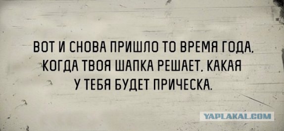 Смешные картинки из сети на 26.10.16