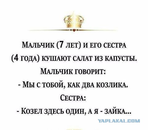 Порция абсурдного юмора на следующую неделю