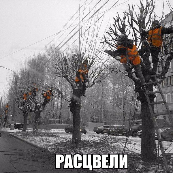 Подборка безудержного веселья