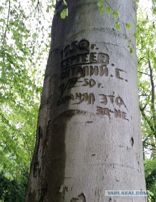 На Берлин...