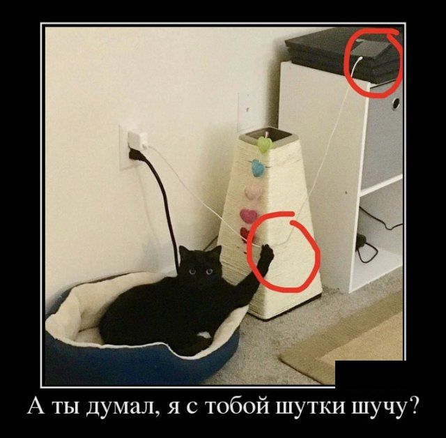 Картинки в черных рамках с подписями