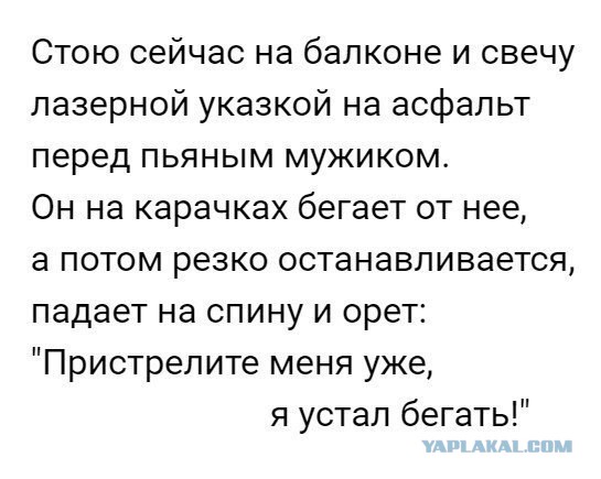 Забавные комментарии, шутки и фразы из этих ваших интернетов