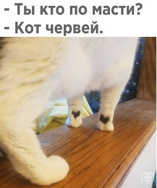 Подборка интересных и веселых картинок
