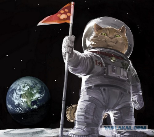 Так кто же был на луне...