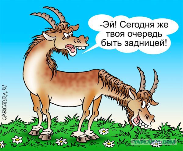 Откуда советские писатели списали Незнайку, Хоттабыча и Айболита