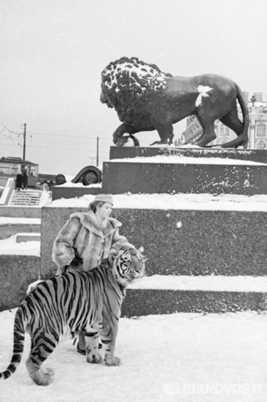 История в фотографиях