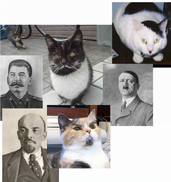Природа любит пошутить