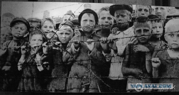 Когда еда — это просто еда…