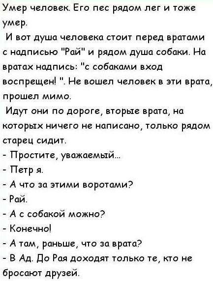 Сердце мужчины было разбито, когда он узнал, куда ежедневно убегает его питомец