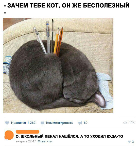 Анекдоты, соц-сети и картинки с надписями