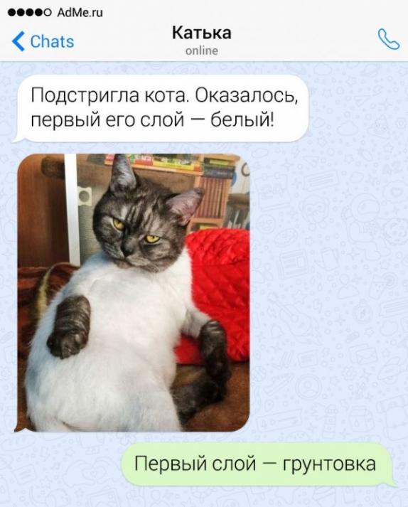 Немного юмора из этих ваших соцсетей