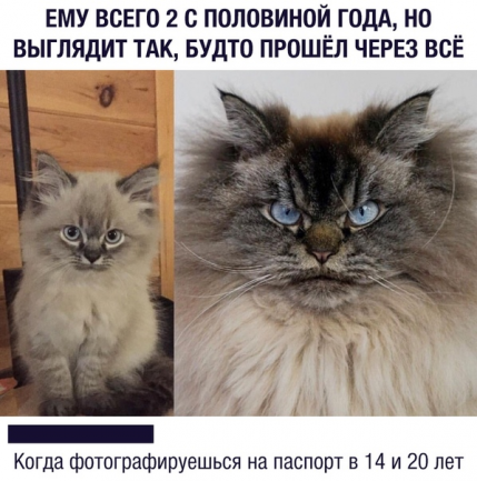 Немного картинок для настроения