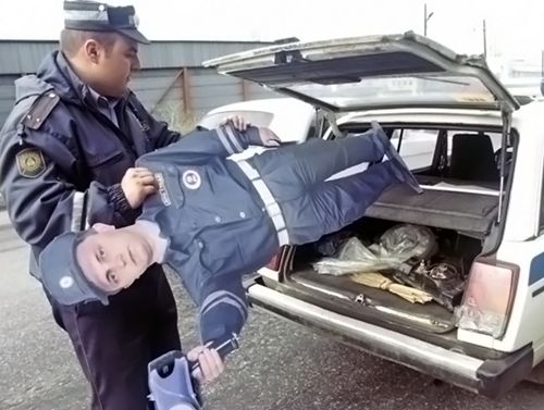 Иногда они возвращаются: зачем нужны роботанкетки