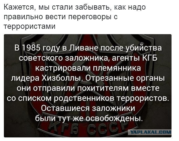 Чуток картинок 18.11.19