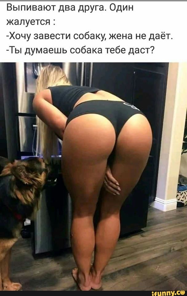Юмор на любителя