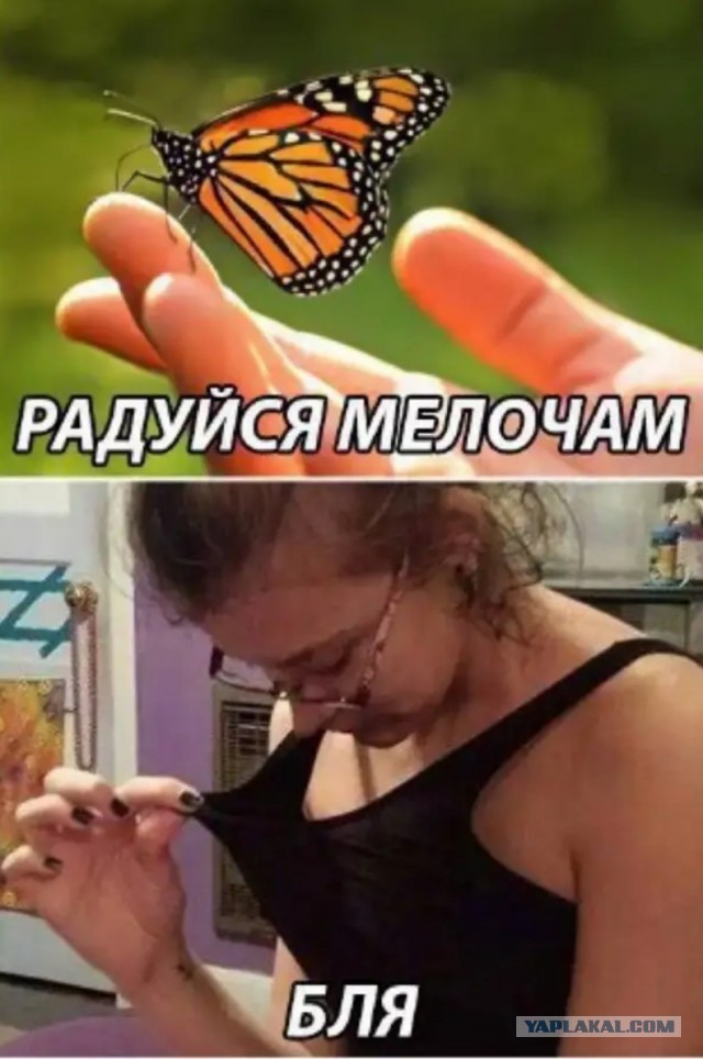 Бредзона 04.06.2020