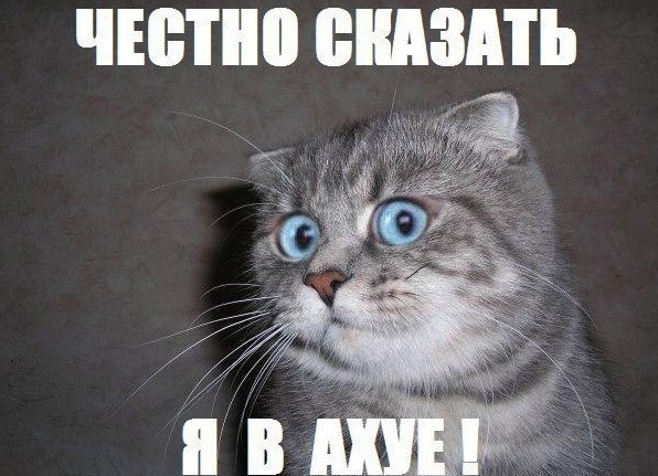 Бедняжка