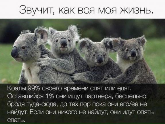 Бредзона 15.09.2020