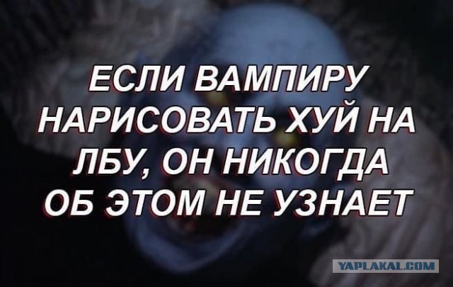 Бредзона 12.11.2020