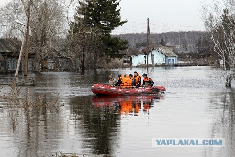 А знаете, какая средняя цена сейчас на услугу «откопать автомобиль»?
